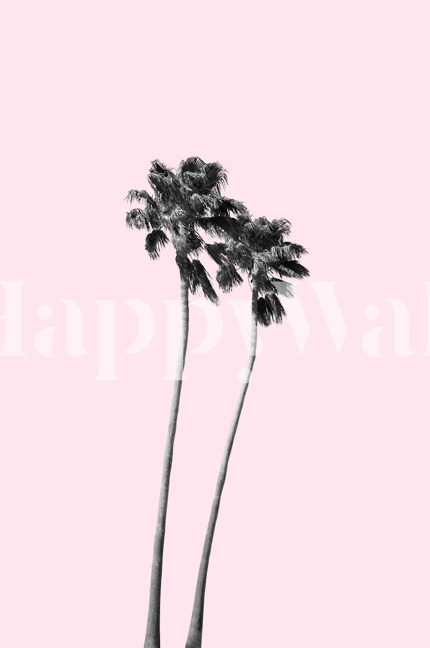 Black palm trees on pink background tropical wallpaper