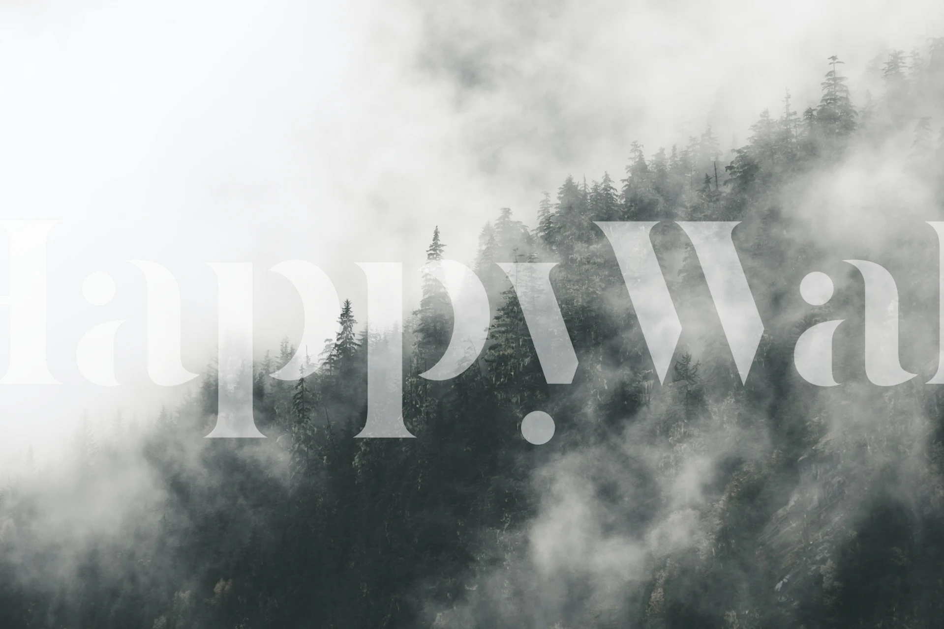 Misty forest wall mural with lush greenery