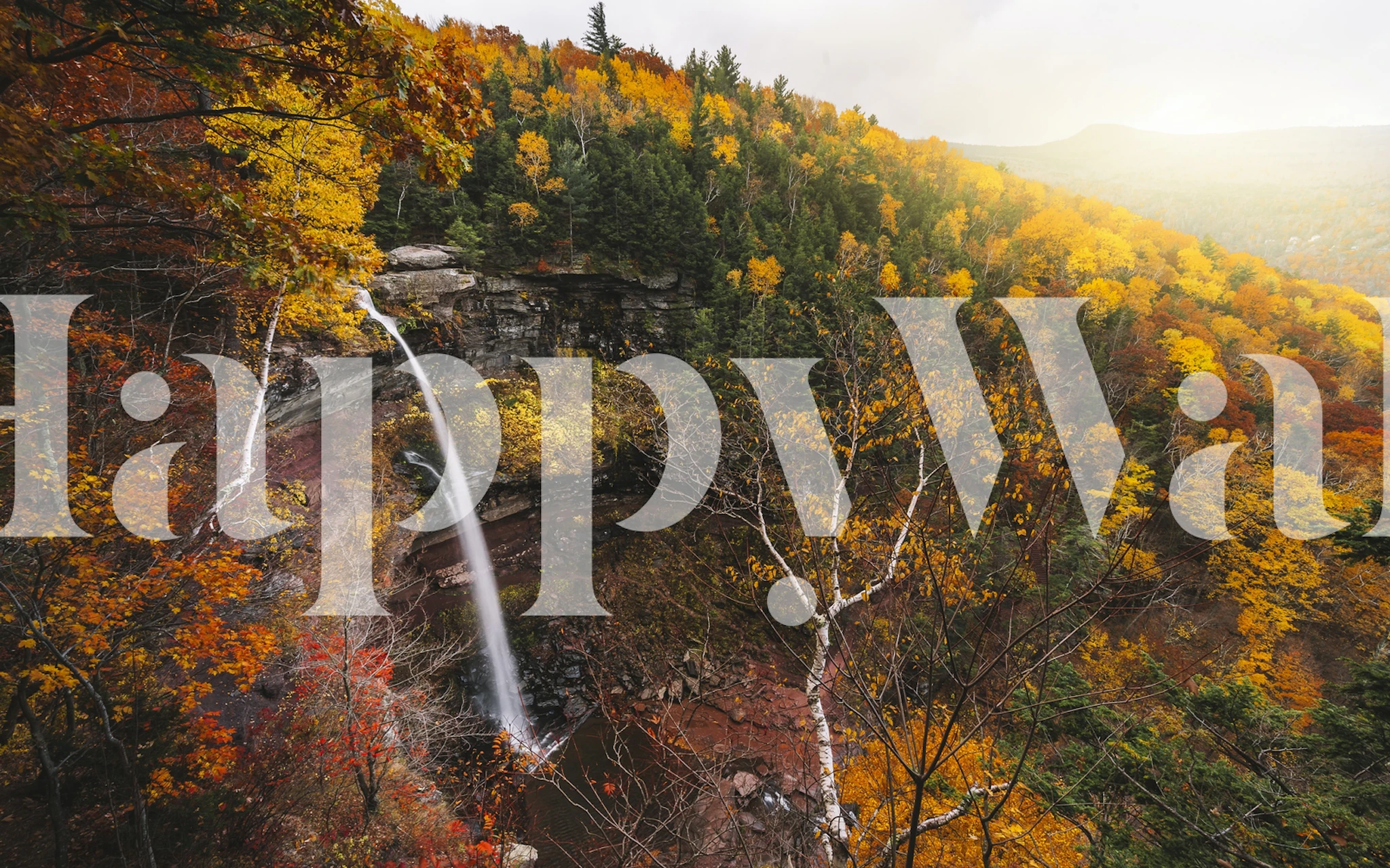 New York Autumn Waterfall wallpaper in a room