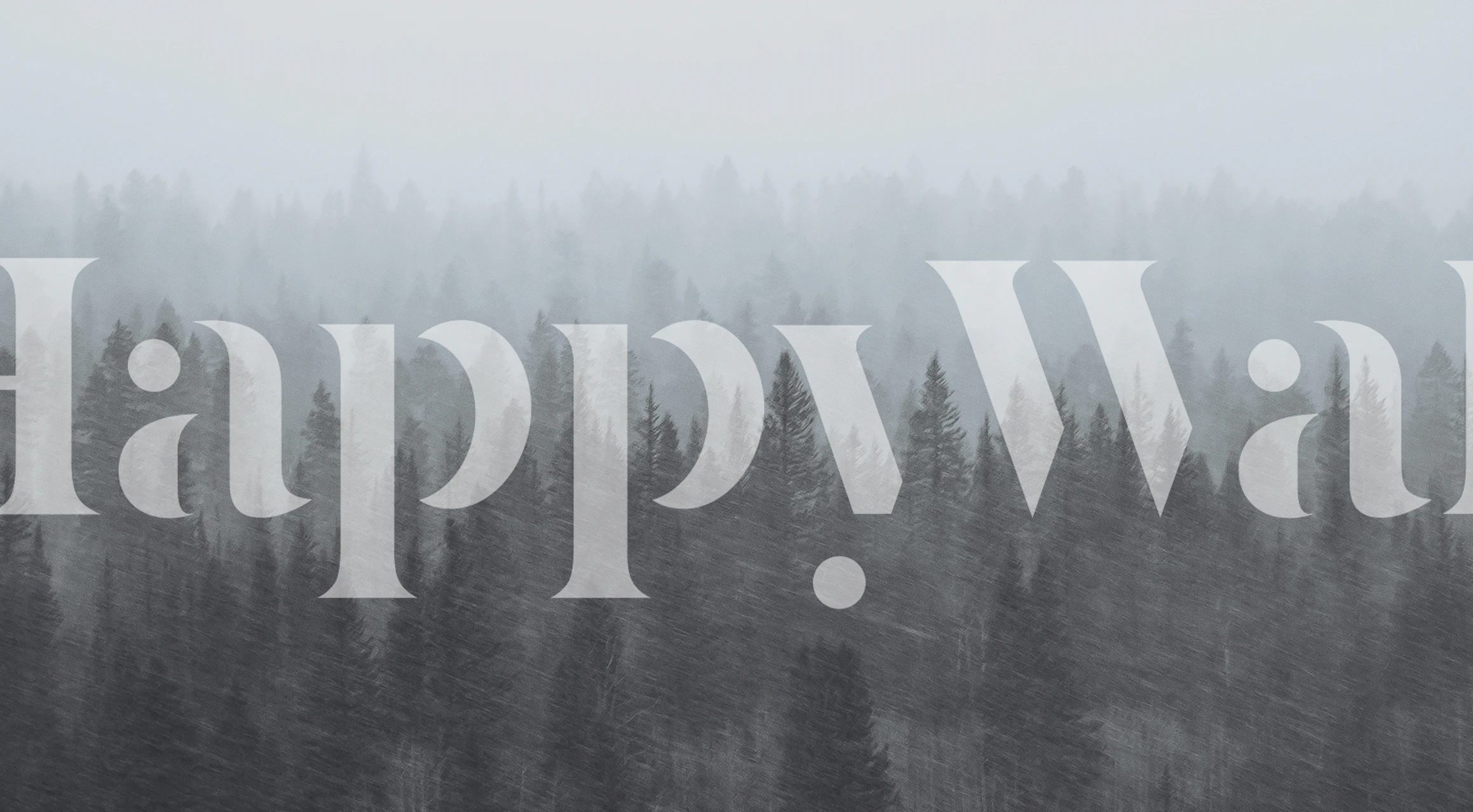 Black and white wall mural of a dense forest under a misty, stormy sky