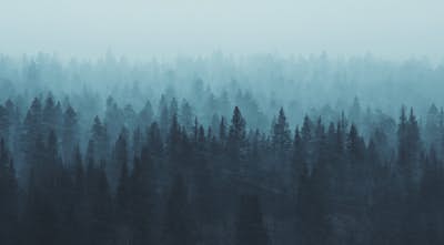 Τοιχογραφία