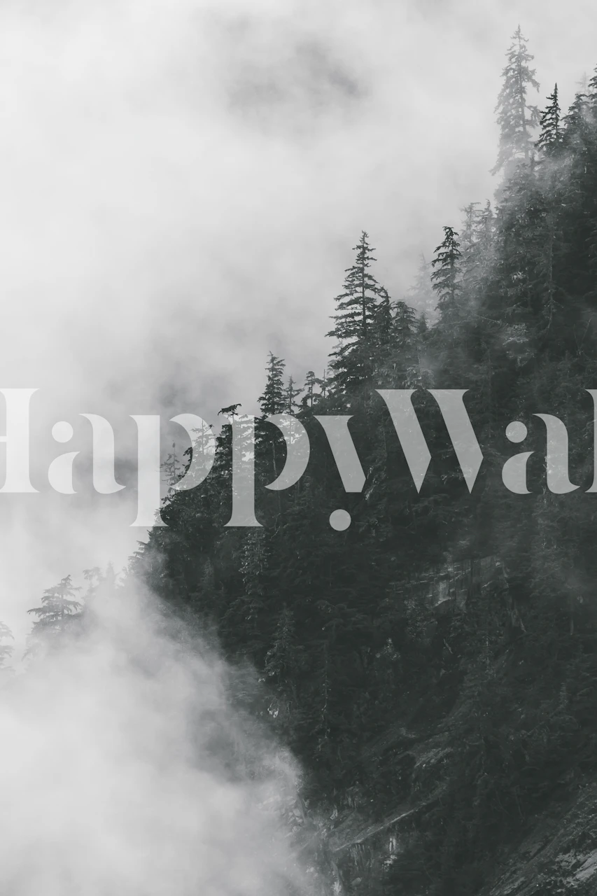 Misty forest wall mural with shadowy trees partially obscured by fog.