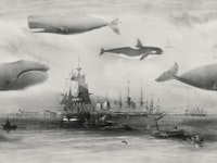 Whales and Ships in GREY tapete