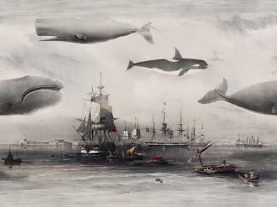 Τοιχογραφία