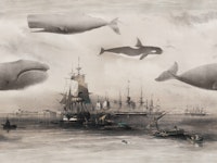 Whales and Ships sepia blue tapete