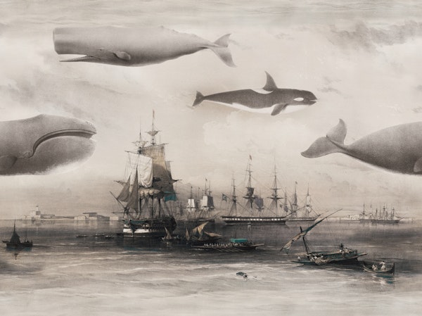 Whales and Ships sepia blue