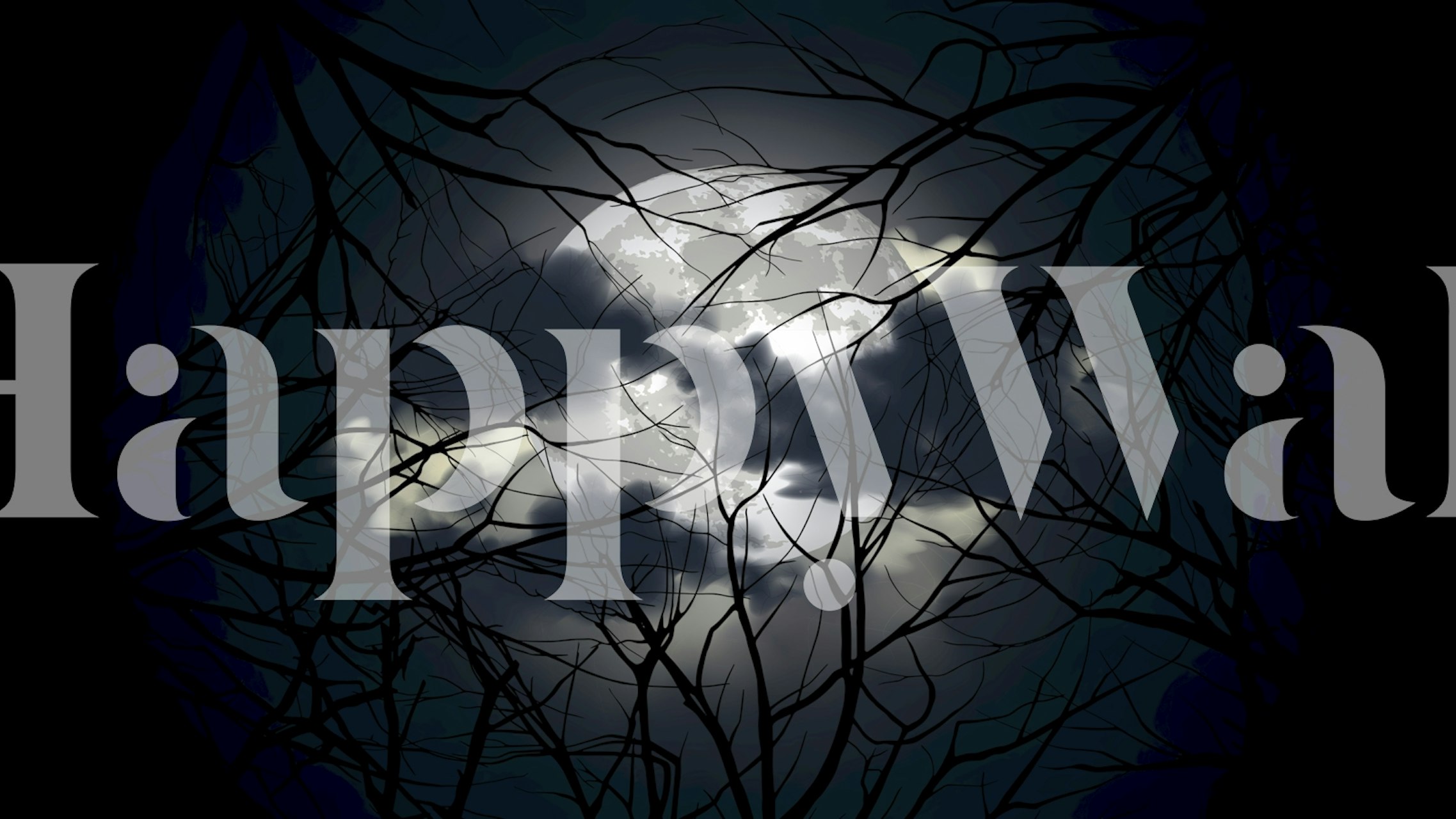 Night Forest 2 wallpaper design in a room