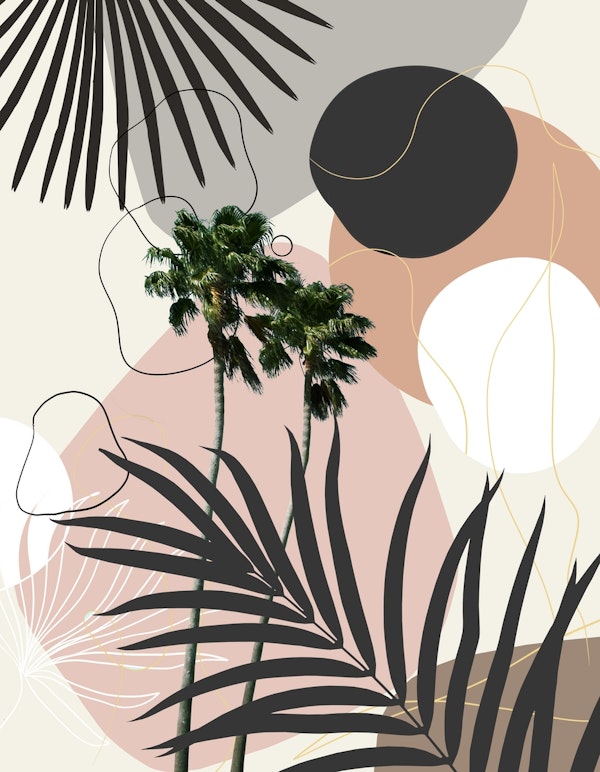 Cali Palm Tree Finesse 1