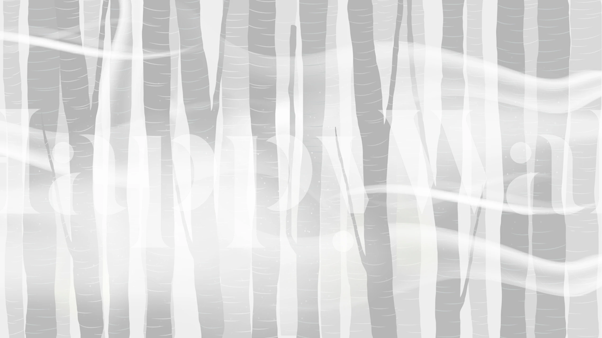 Gray Forest wallpaper in a room