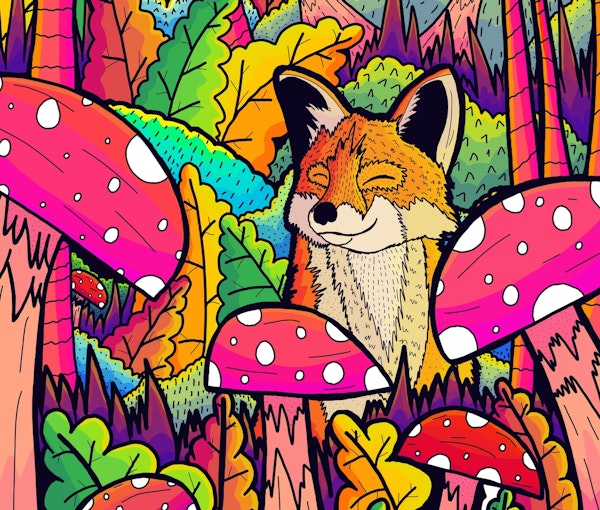 The happy little fox