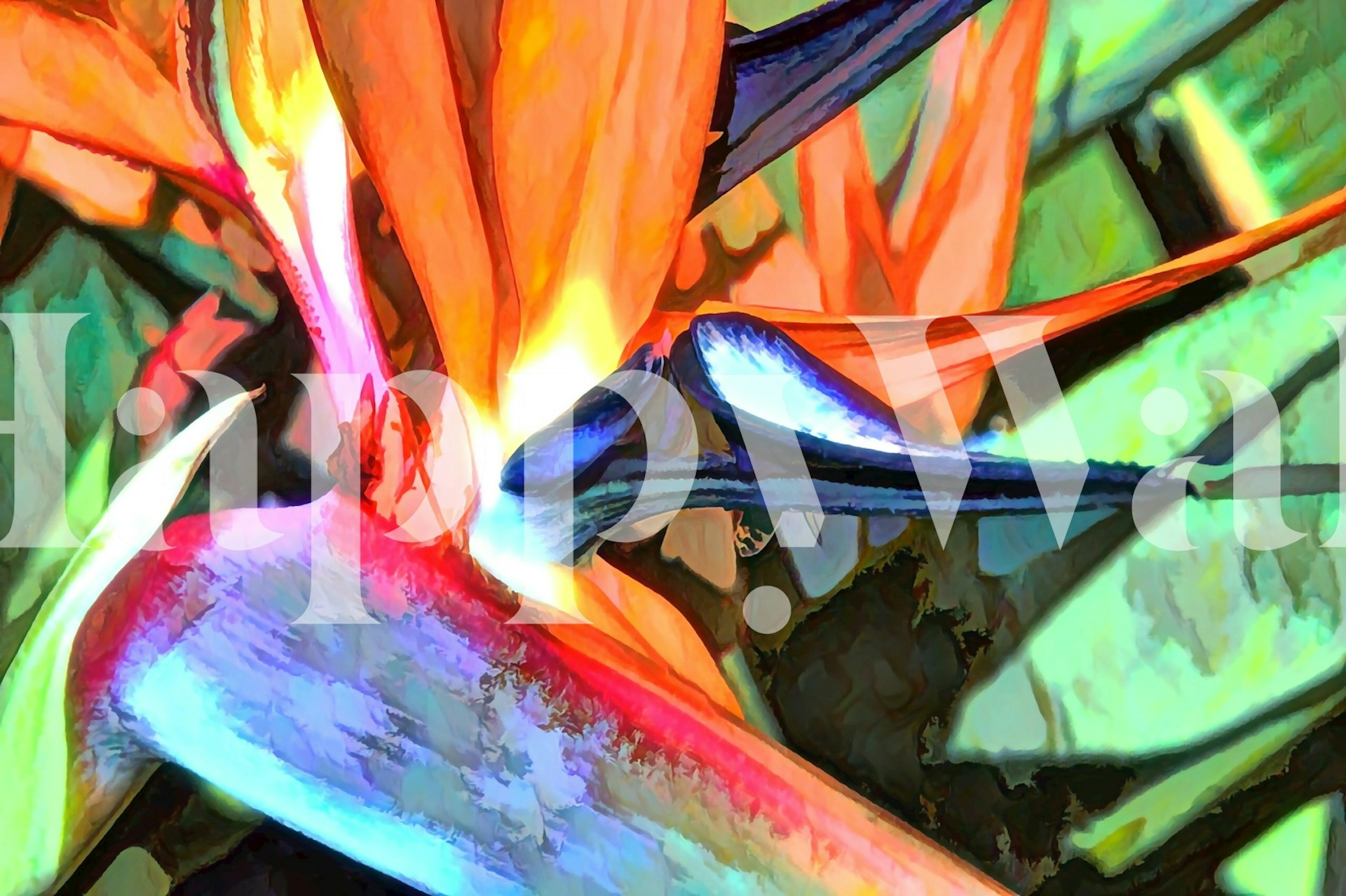 Papel pintado colorido Bird of Paradise Garden en una habitación