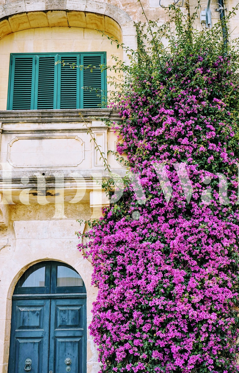 Buy Beautiful Bougainvillea Wallpaper Online | Happywall