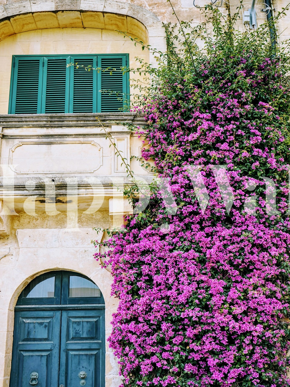 Bougainvillea wallpaper in a charming setting