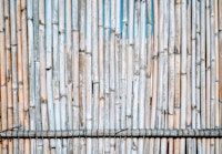 Vintage Bamboo tapete