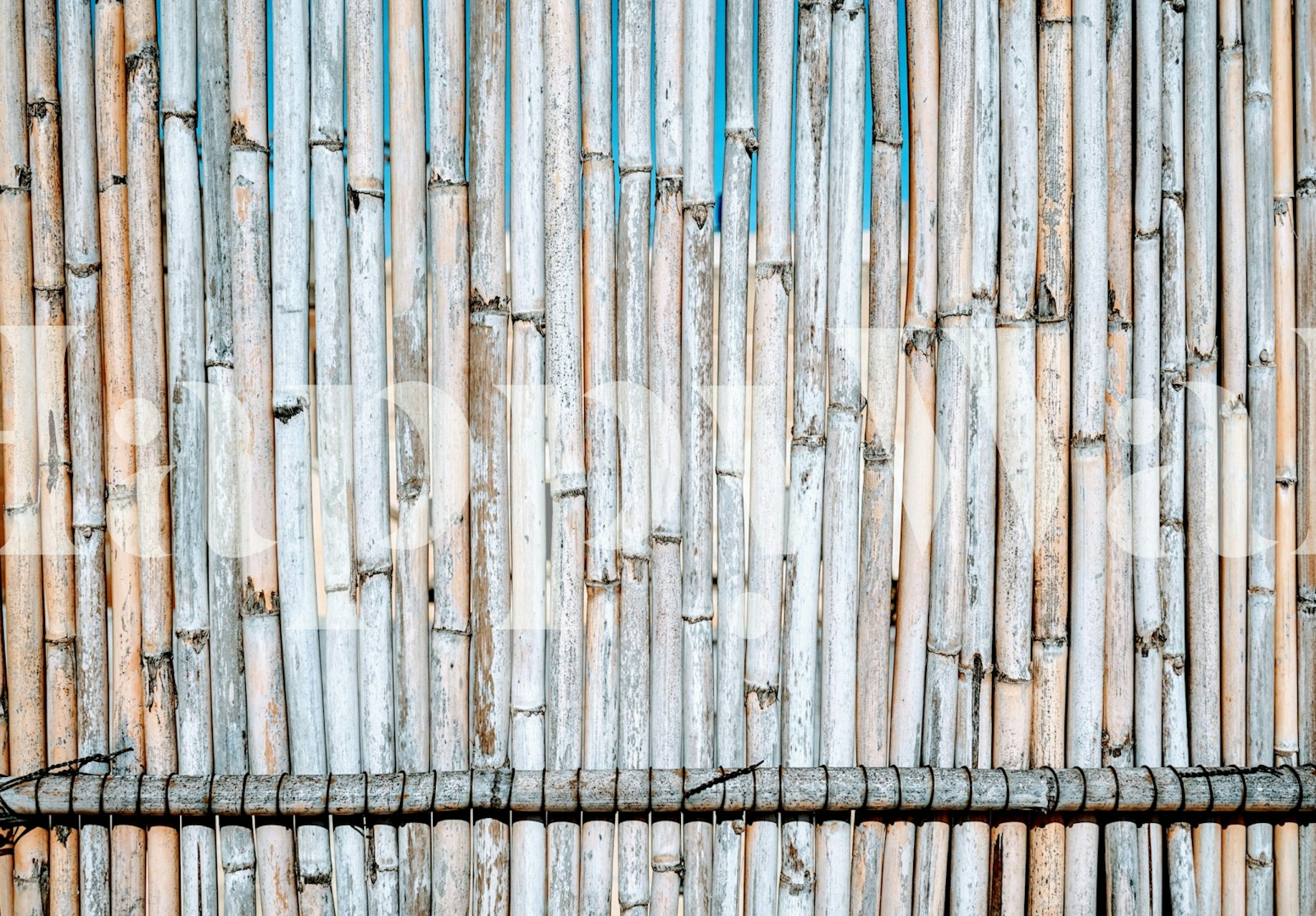 Bamboo texture wallpaper with natural colors in vertical pattern