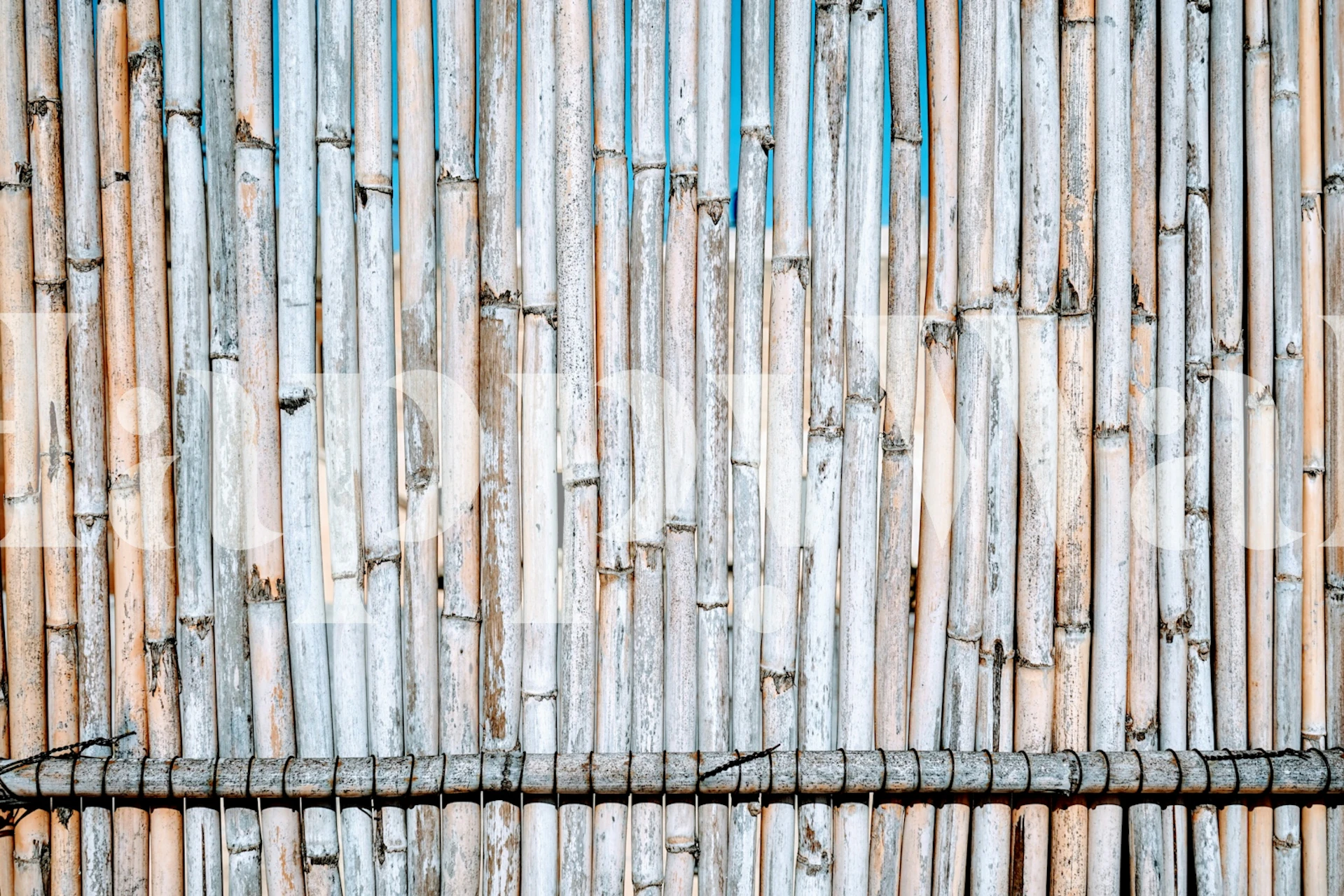 Bamboo texture wallpaper with natural colors in vertical pattern