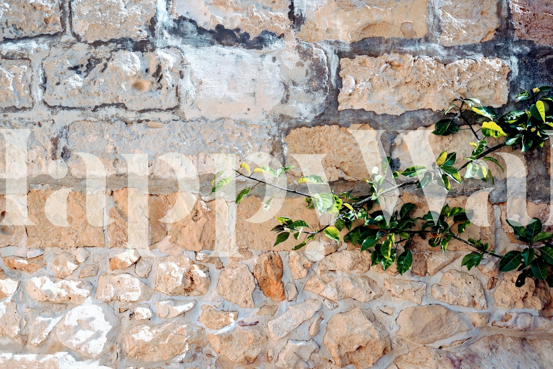 Stone Wall behang met botanische accenten