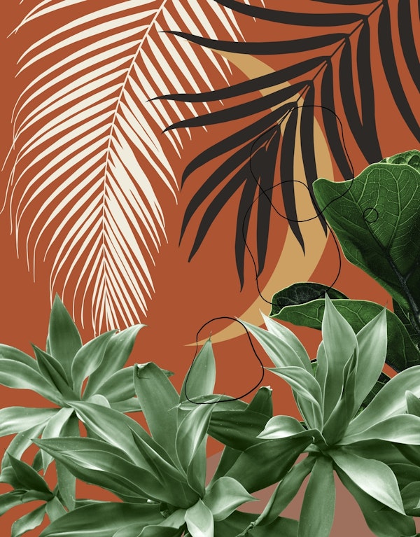 Moon Agave Palm Finesse 2