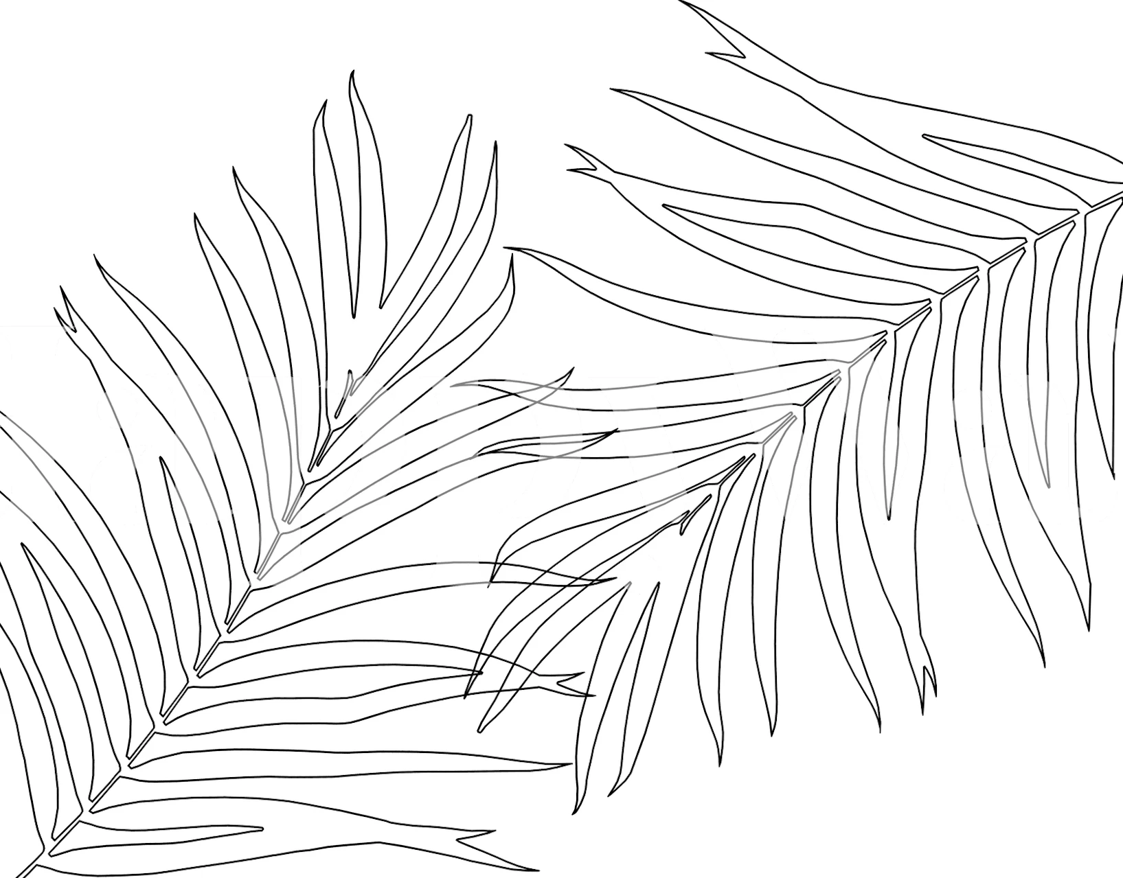 Palm Finesse Line Art 1 tapet i et rum
