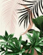Moon Agave Palm Finesse 3