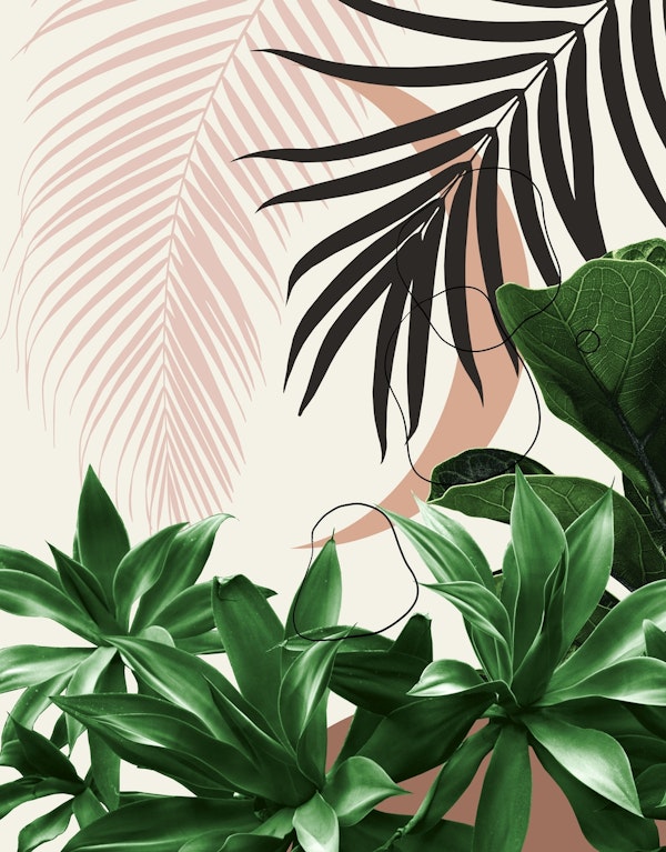 Moon Agave Palm Finesse 3