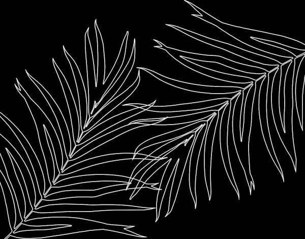 Palm Finesse Line Art 2
