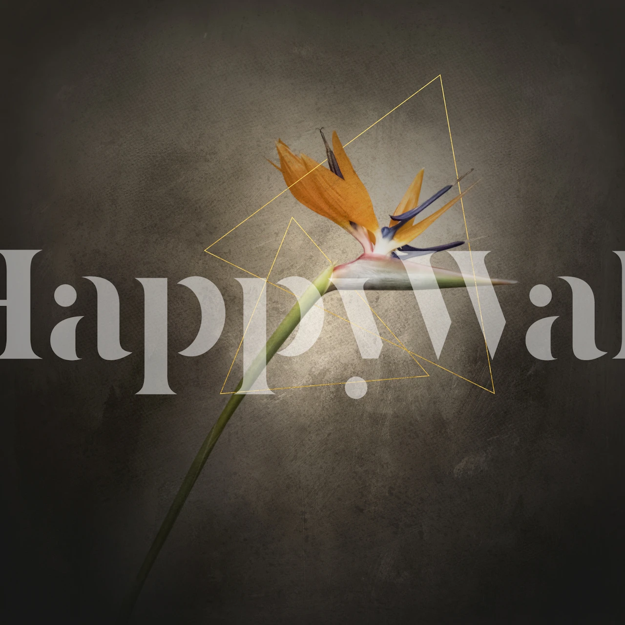 Strelitzia flower with orange and green colors on textured background wallpaper