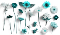 Turquoise Flower Composition tapet