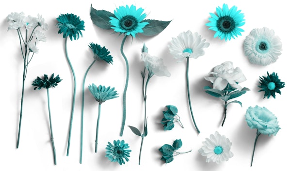 Turquoise Flower Composition