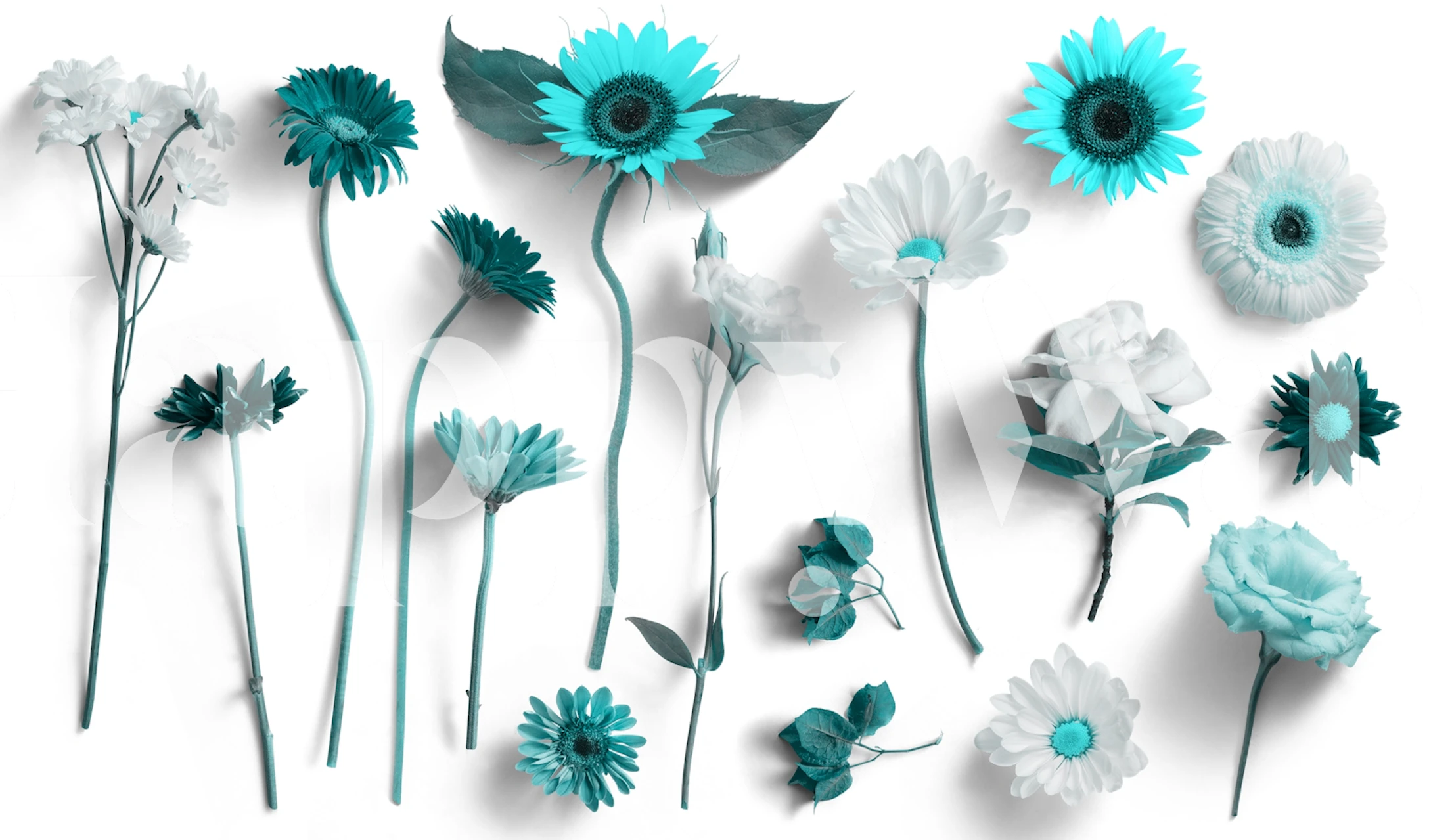 Turquoise and white flower wall mural with various floral designs for home decor