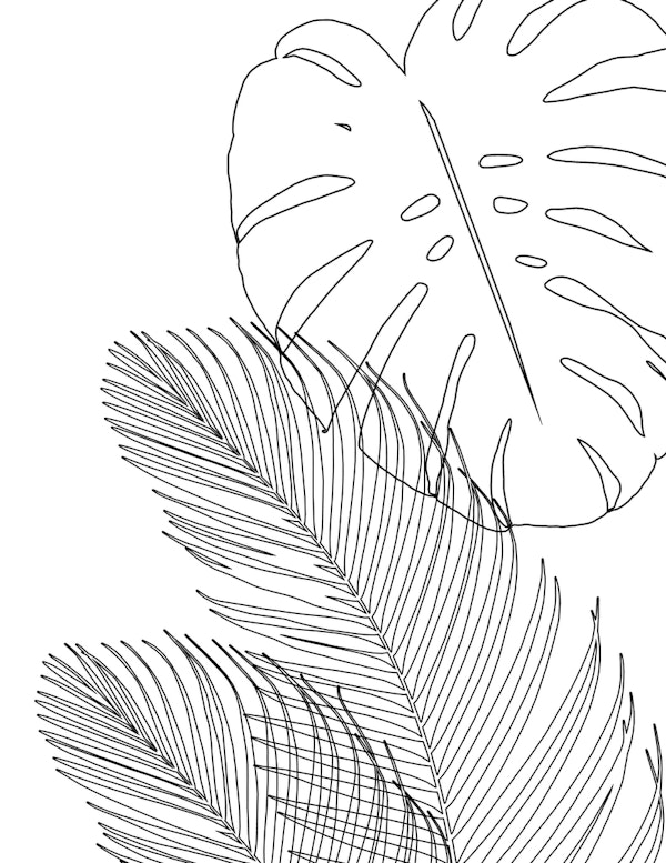 Monstera Palm Leaves Finesse 2