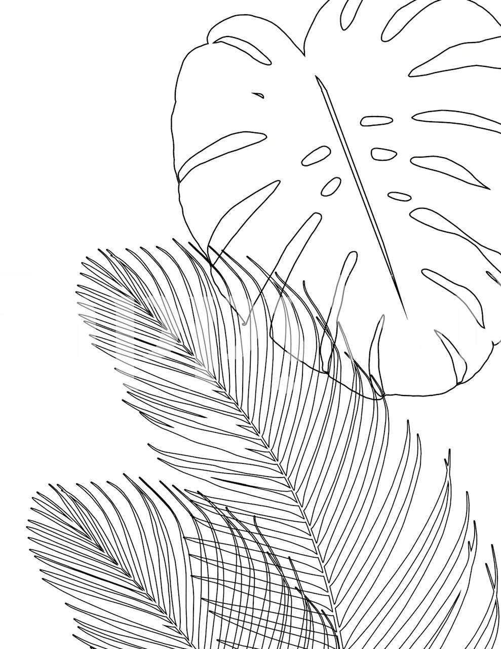 Monstera Palm Leaves Finesse 2 Wandbild mit Strichzeichnungen