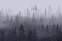 Forest Blue Mountain tapet