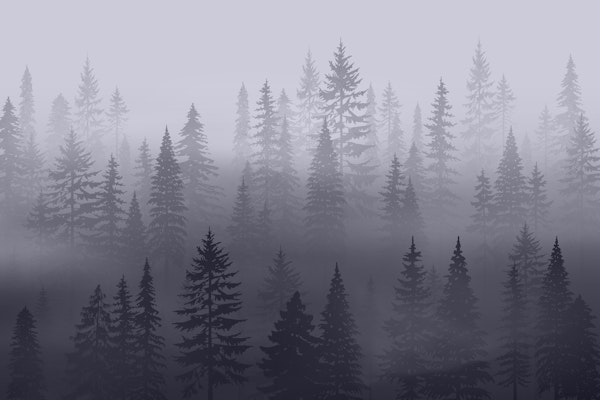 Forest Blue Mountain