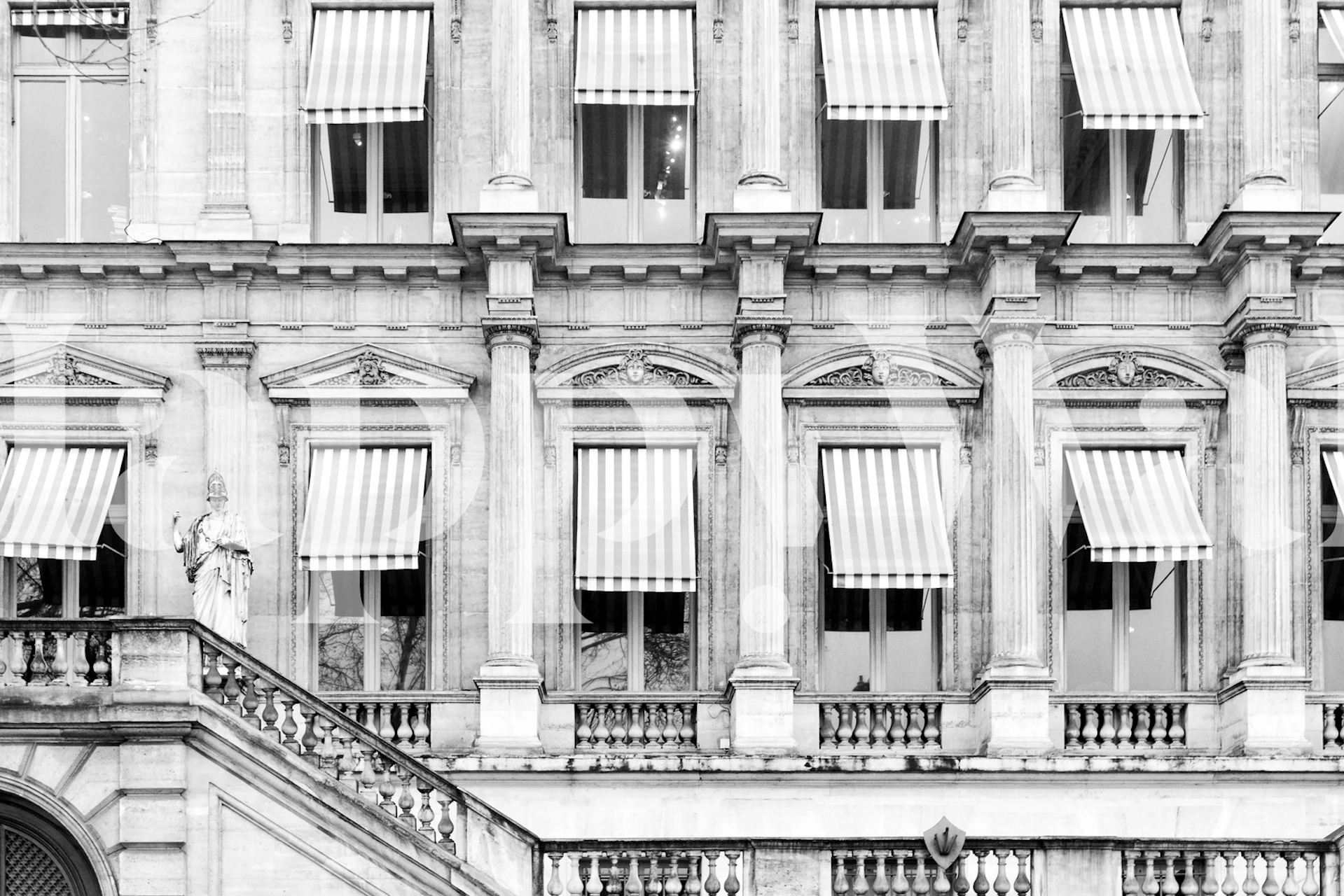 Paris black and white tapet i ett rum