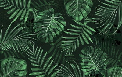Mural