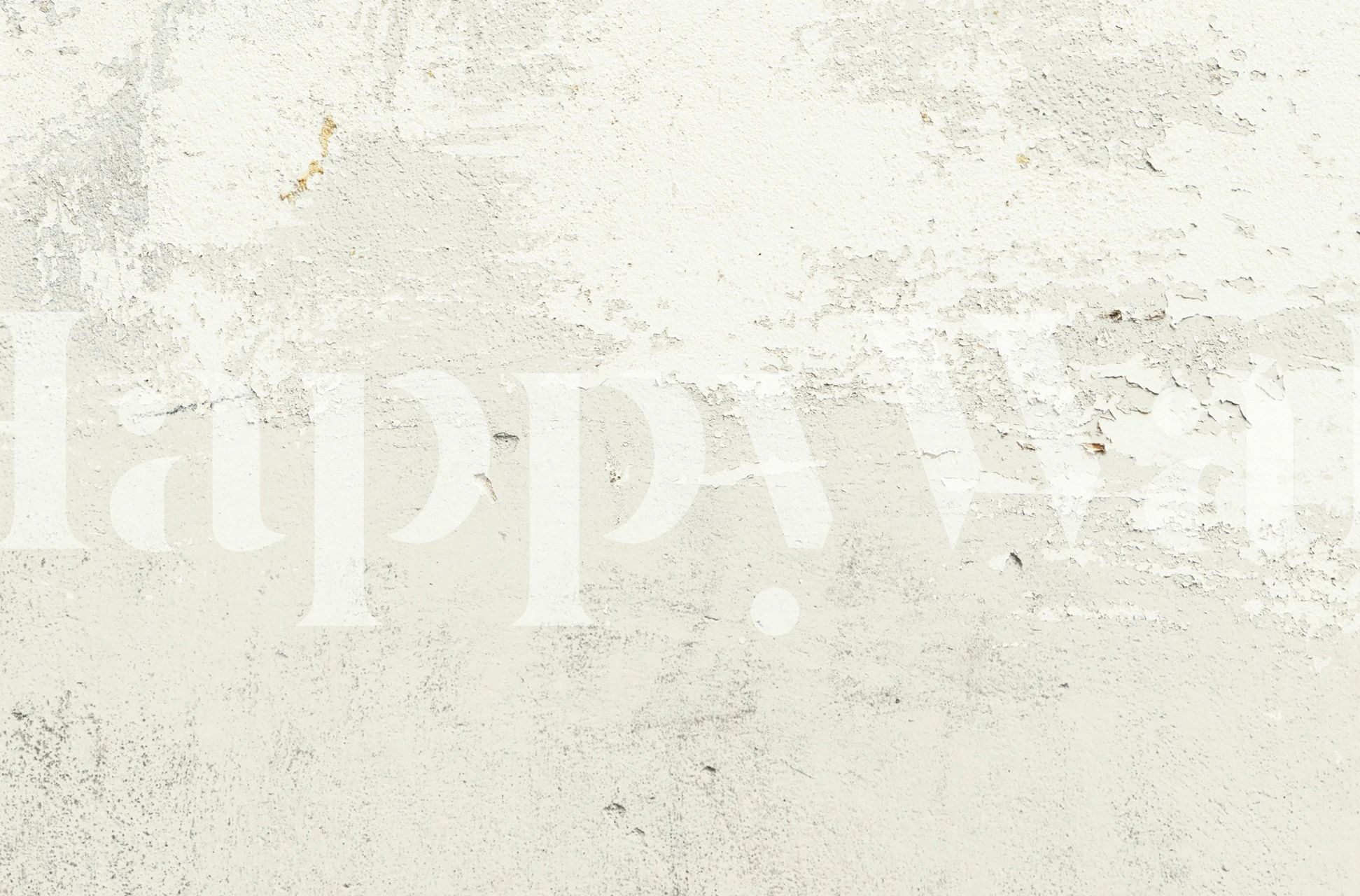 Off White Grunge Wall wallpaper in a room