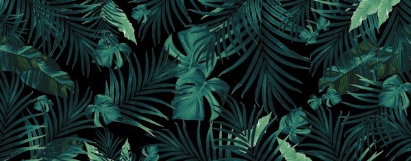 Tropical Jungle Night 1 w 2