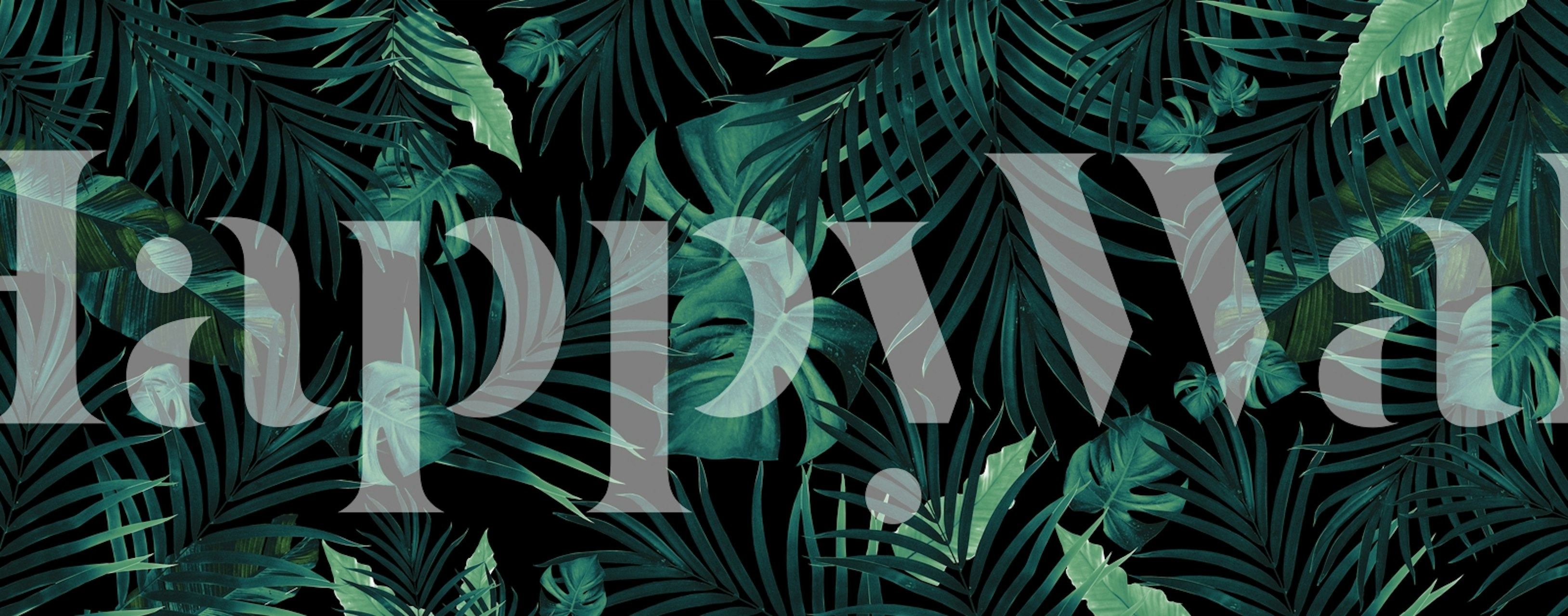 Lush tropical leaves in shades of green on black wallpaper