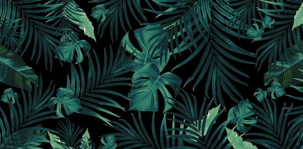 Tropical Jungle Night 1 w 3