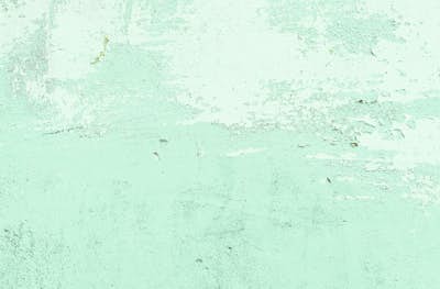 Τοιχογραφία