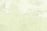 Old Wall Light Green tapete