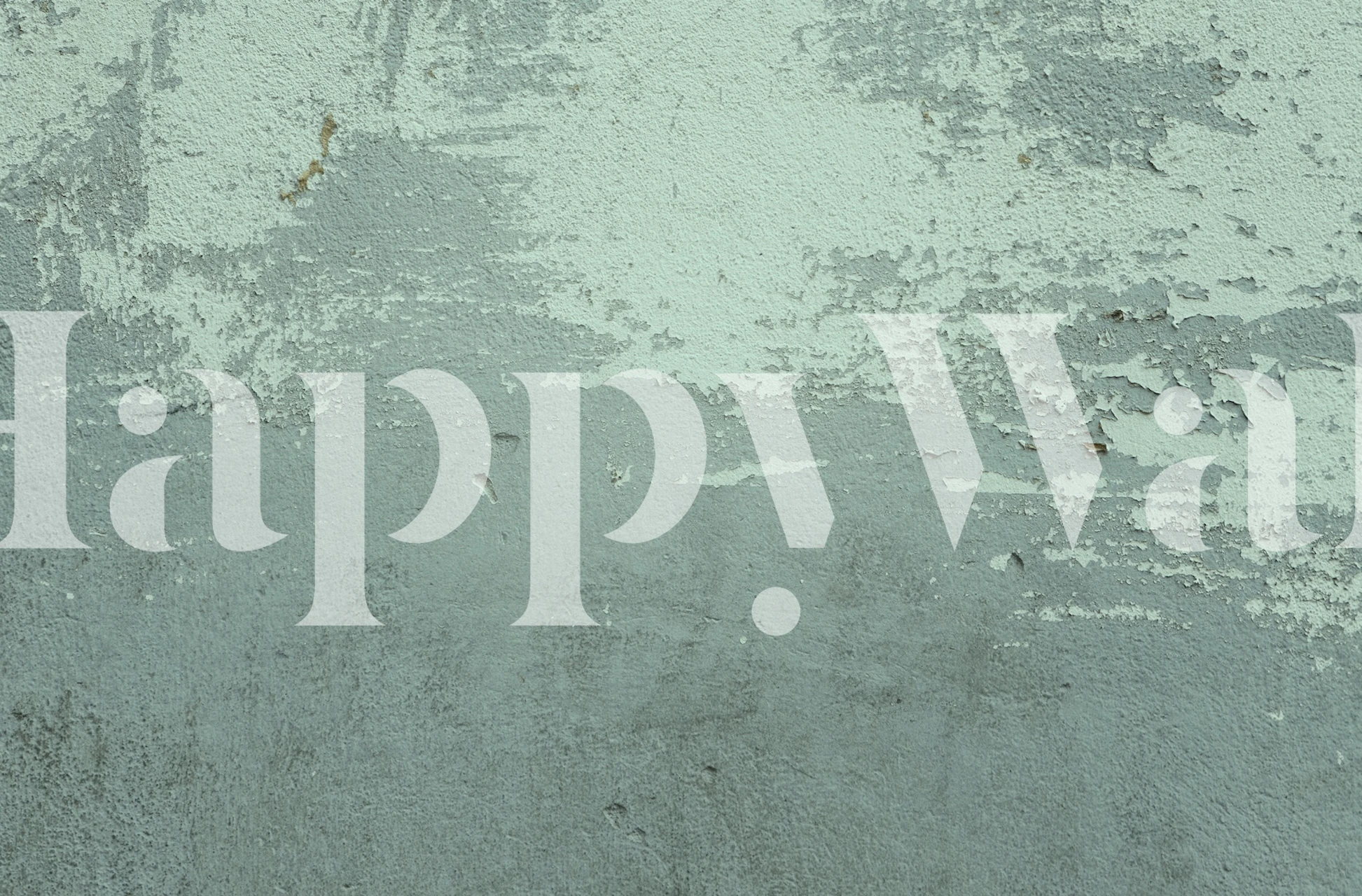 Old Wall Sage Green Tapete in einem Raum