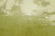 Old Wall Green