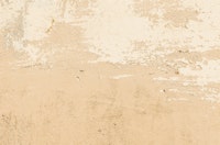 Old Wall Beige ταπετσαρία