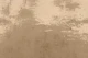 Old Wall Beige