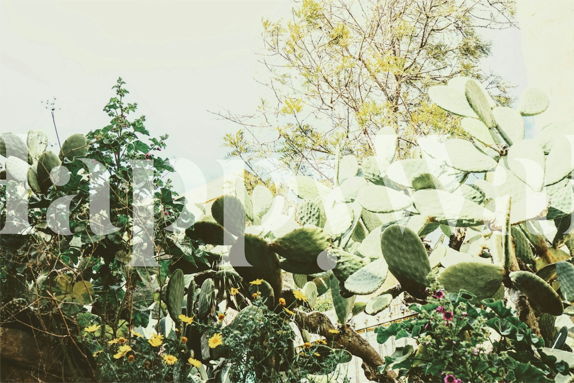 Tropical morning garden wallpaper in a room