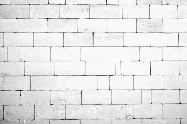 Stony Brick Wall Black White