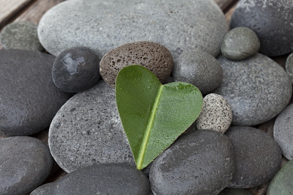 Heart Shaped Leaf On Pebble