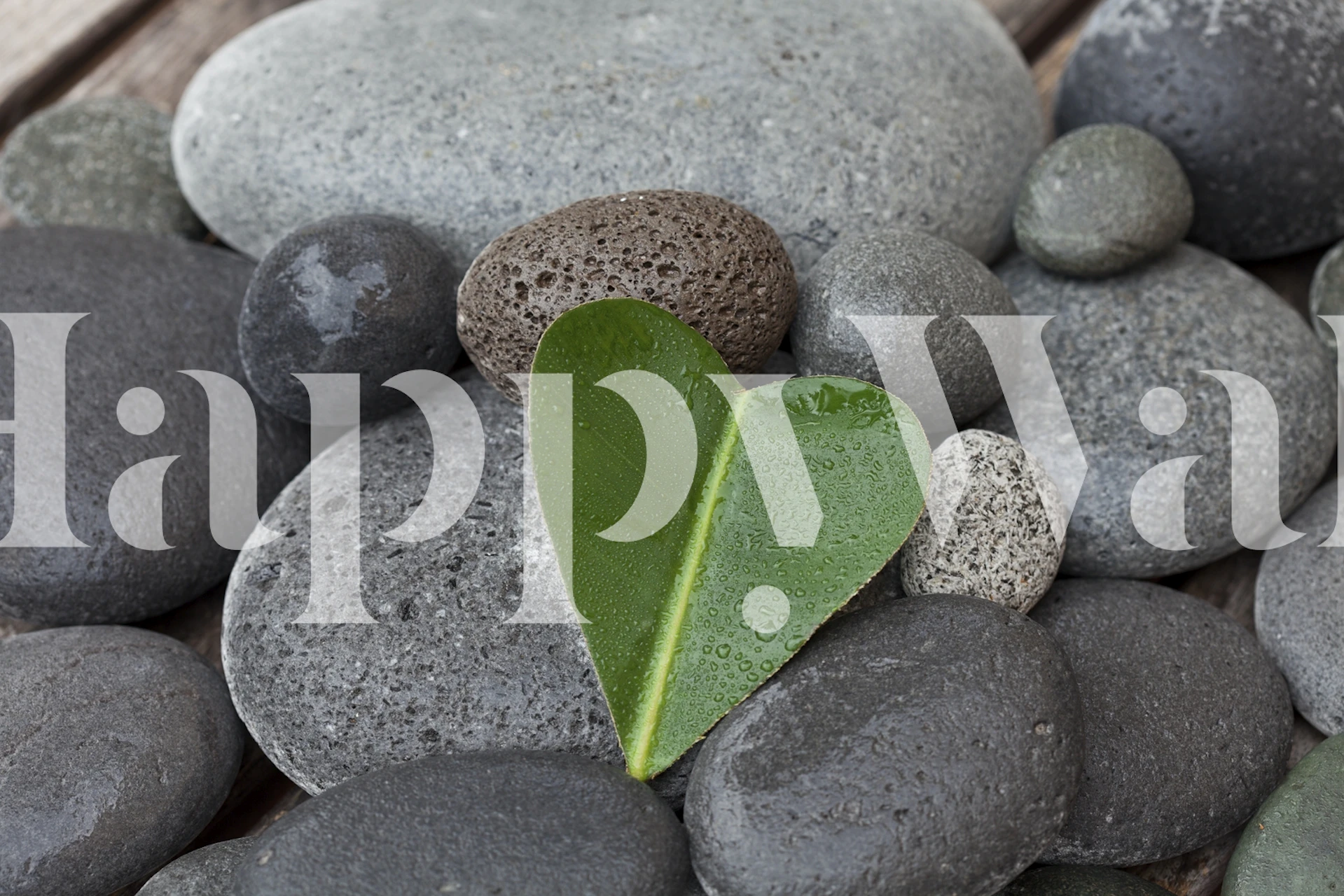 tapeta Heart Shaped Leaf On Pebble